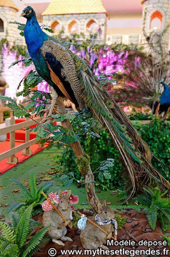 Griechische Mythologie (13) Paon